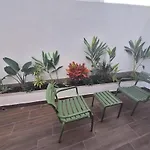 Washingtonia Palm - Casablanca Center