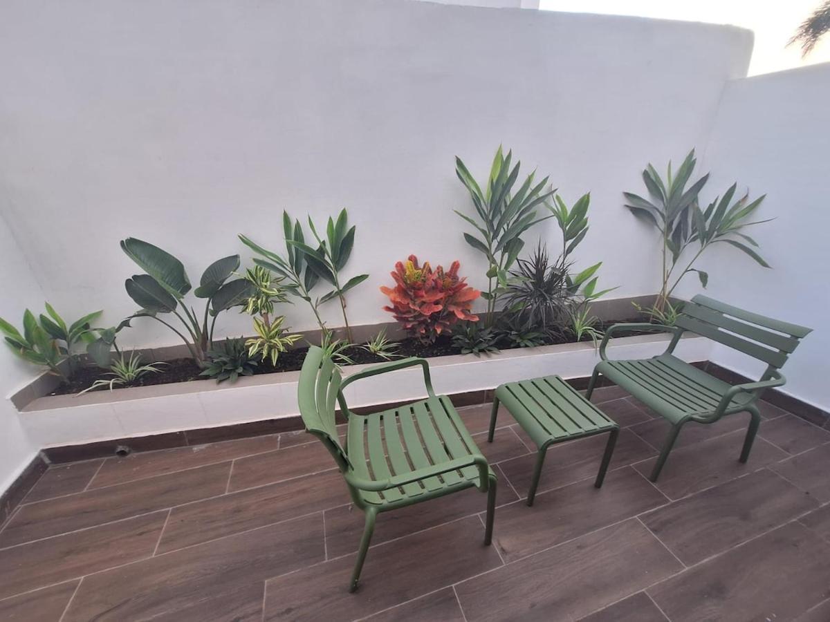 Apartment Washingtonia Palm - Center Casablanca