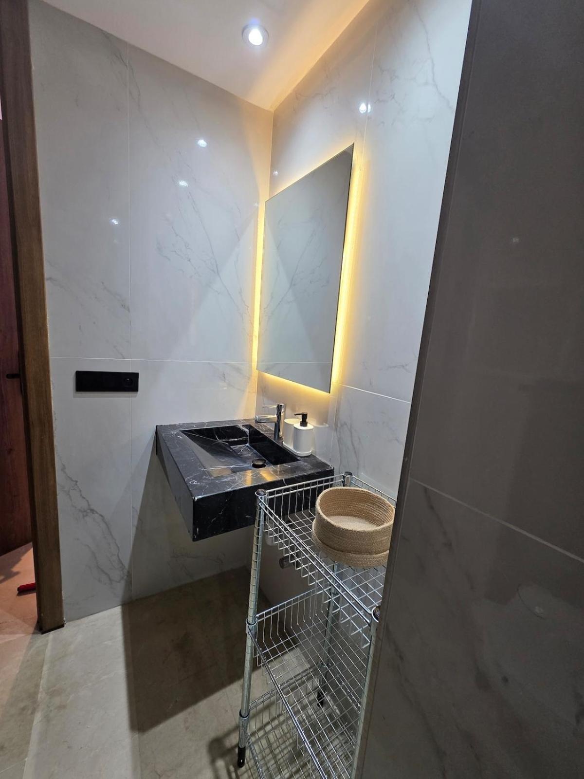 Washingtonia Palm - Center Apartment Casablanca