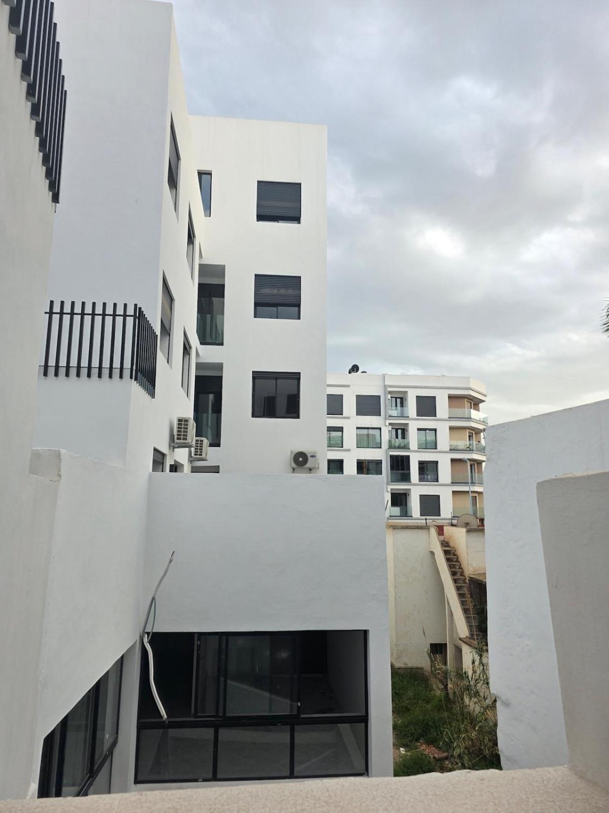 Washingtonia Palm - Center Apartment Casablanca